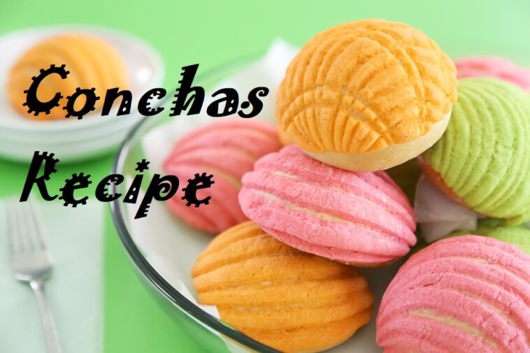 Conchas (Mexican Sweet Buns)