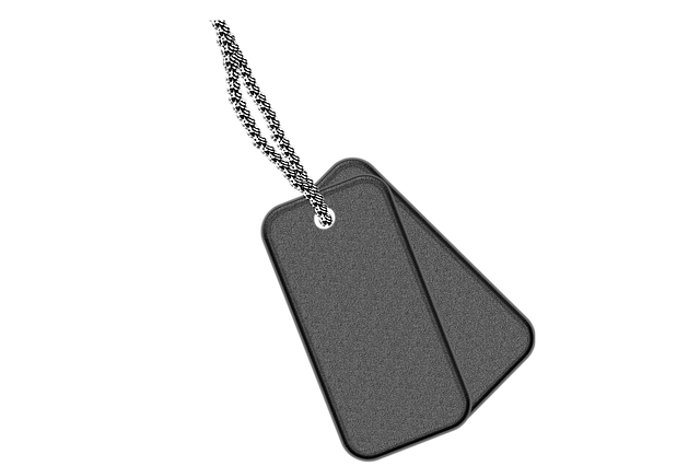 dog tags, tags, identification
