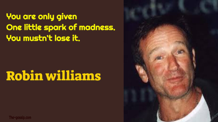 robin williams quotes