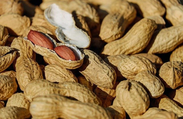 nuts, peanut, roasted