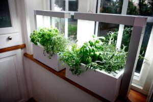 indoor herbs ideas