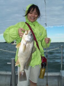 Fish of lake Erie