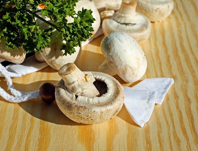 mushrooms, white mushroom, edible