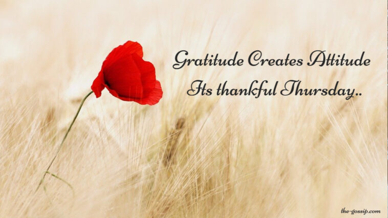 Thankful Thursday Motivational Quotes