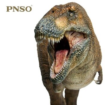 1:35 PNSO Dinosaurs Museum Wilson Tyrannosaurus Rex with Transparent Support Prehistoric Animals Toy Collection Doll