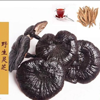 250g-500g Changbai Mountain wild Ganoderma lucidum Strengthen immunity Antitumor Liver protection Prevent cancer