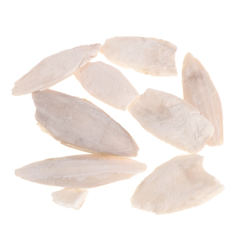 1 Bag Cuttlebone Cuttlefish Sepia Bone Cuttle Fish Bird Food Calcium Pickstone Pet Sep29